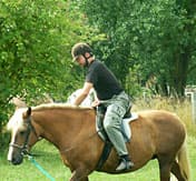 Ein junger Mann reitet auf einem Pferd über eine Wiese